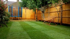 Rolawn Medallion Turf laid on a lawn in Queens Park, North West London